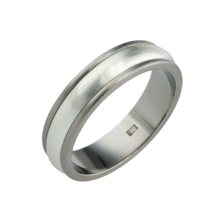 Titanium & Silver Centre Ring
