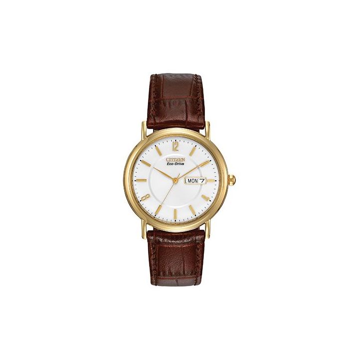 Citizen Men’s Eco-Drive Gold Tone Classic Leather