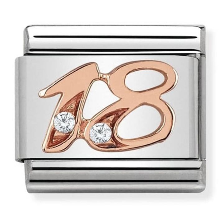 Nomination Steel & Rose Gold 18 Charm