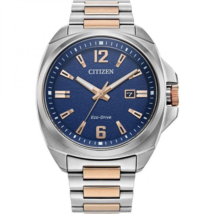 Citizen Mens Sport Two Tone Watch