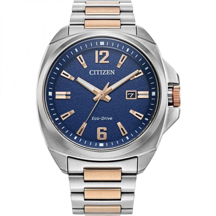 Citizen Mens Sport Two Tone Watch