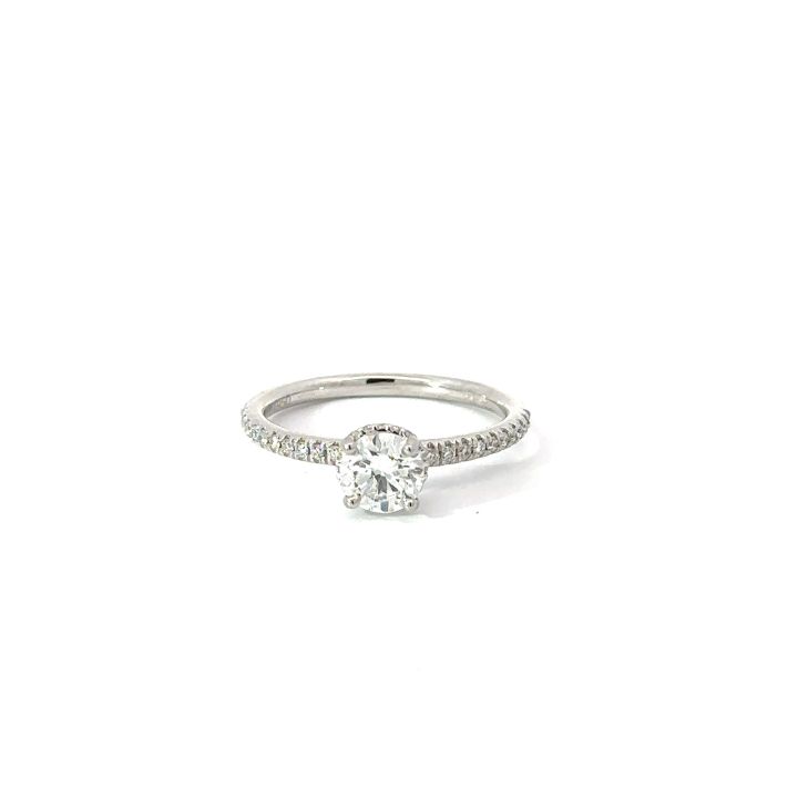 Platinum Round Brilliant Cut Diamond Hidden Halo Ring