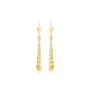 9ct Yellow Gold Diamond Cut Drop Earrings